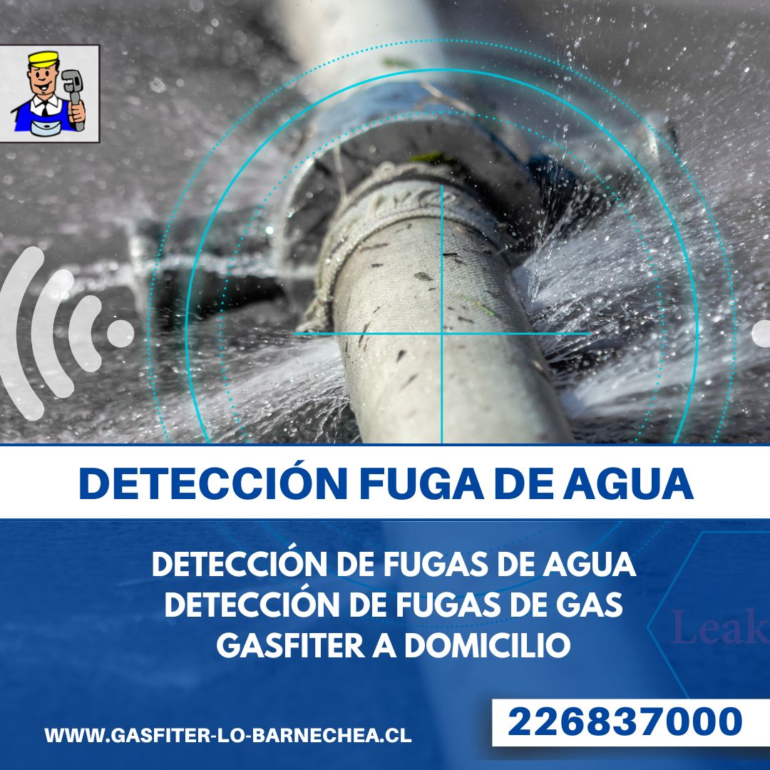 Servicios avanzados para la detección de fugas de agua